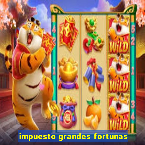 impuesto grandes fortunas