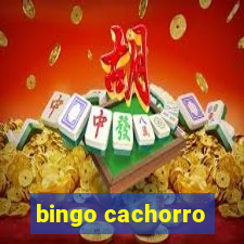 bingo cachorro