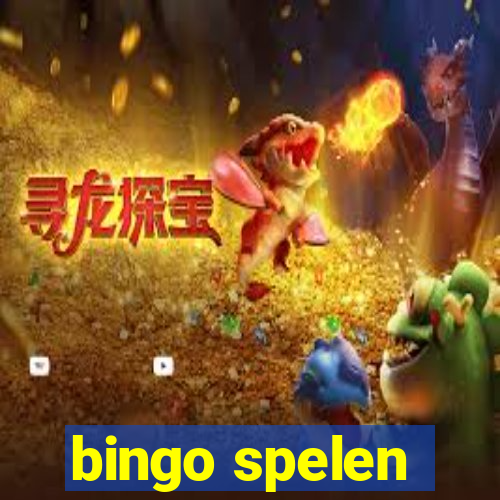 bingo spelen