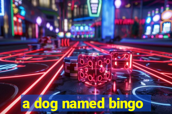 a dog named bingo