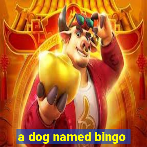 a dog named bingo