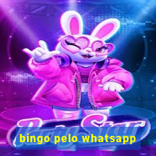 bingo pelo whatsapp