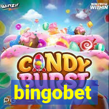 bingobet