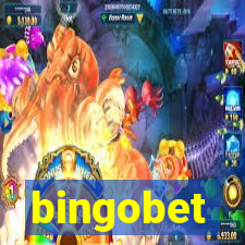 bingobet