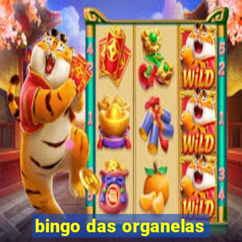 bingo das organelas