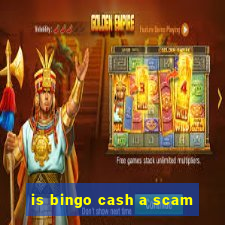 is bingo cash a scam