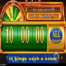 is bingo cash a scam