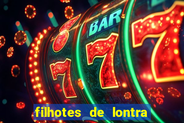 filhotes de lontra para vender