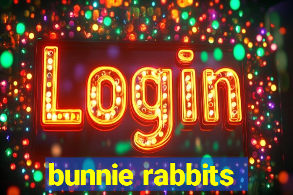 bunnie rabbits