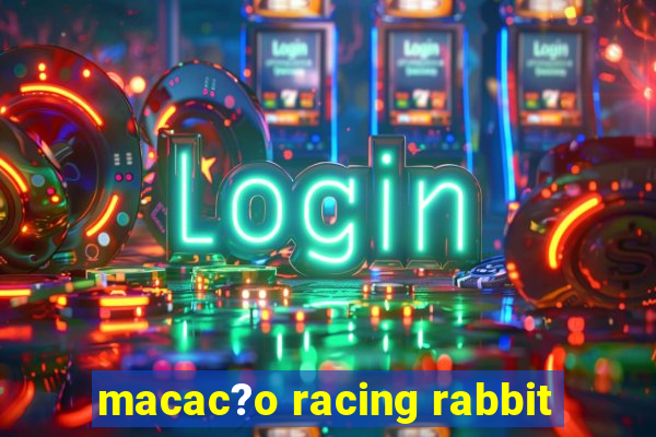 macac?o racing rabbit