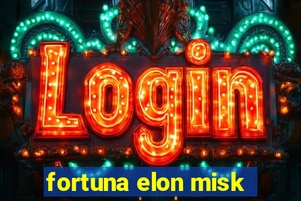 fortuna elon misk