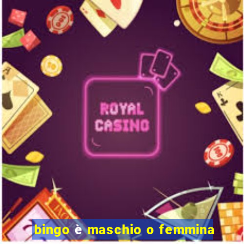 bingo è maschio o femmina