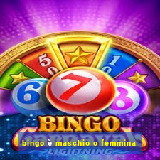 bingo è maschio o femmina