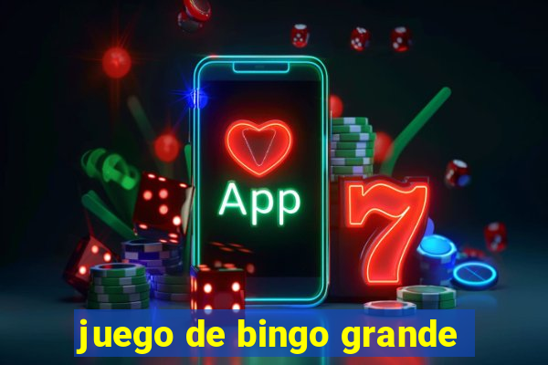 juego de bingo grande