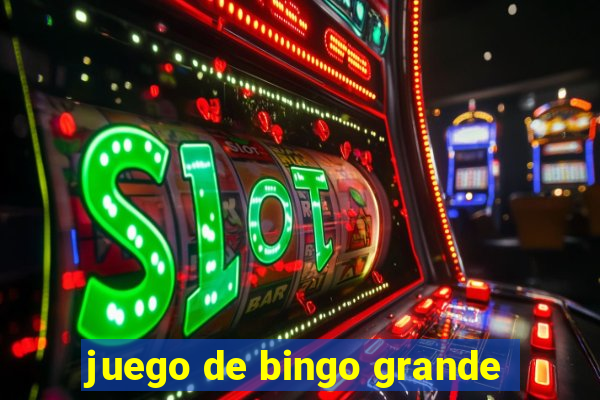 juego de bingo grande