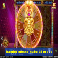 bambu mosso natural pre?o