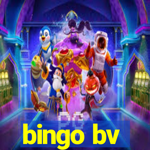 bingo bv