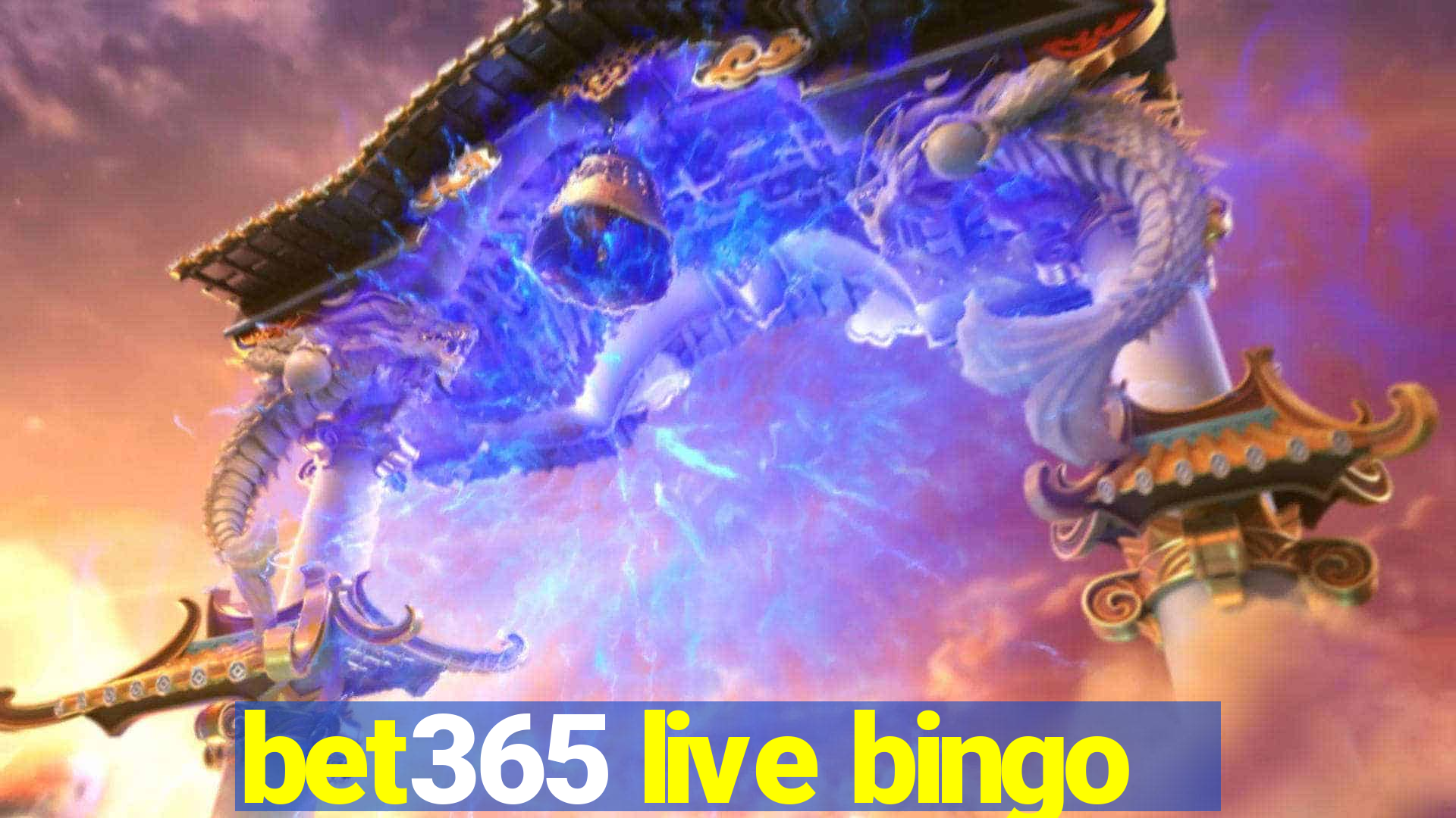 bet365 live bingo