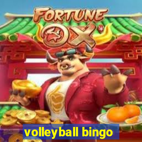 volleyball bingo