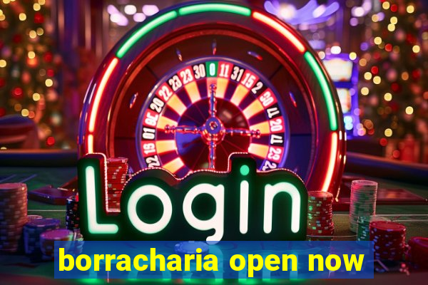 borracharia open now