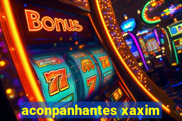 aconpanhantes xaxim