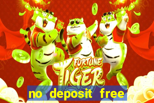 no deposit free bingo bonus