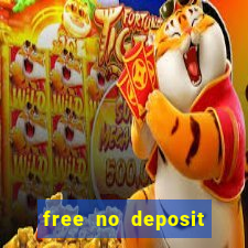 free no deposit bingo bonus