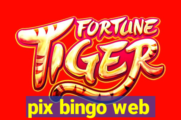 pix bingo web