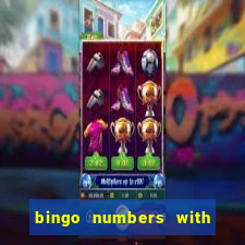 bingo numbers with highest probability