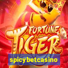 spicybetcasino