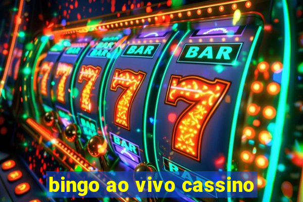 bingo ao vivo cassino