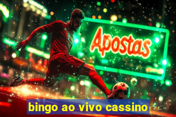 bingo ao vivo cassino