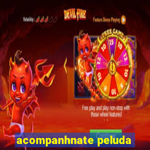 acompanhnate peluda