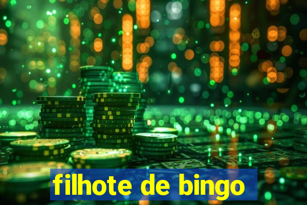 filhote de bingo