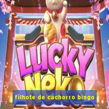 filhote de cachorro bingo