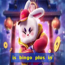 is bingo plus in gcash legit