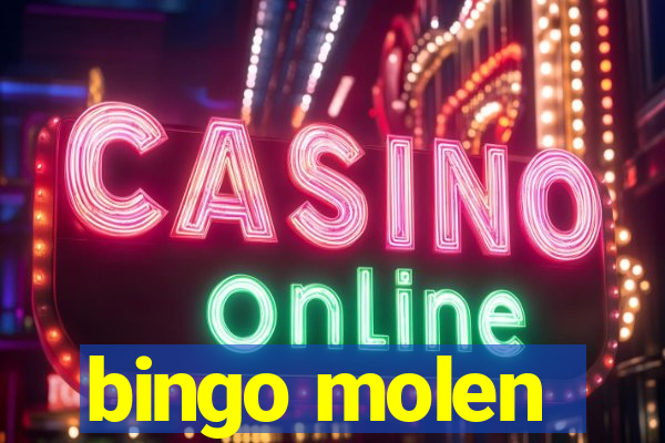 bingo molen