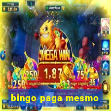 bingo paga mesmo