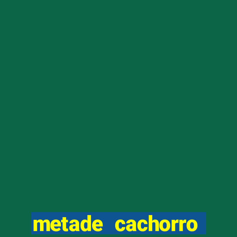 metade cachorro metade gato