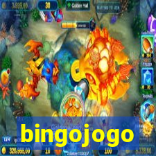 bingojogo